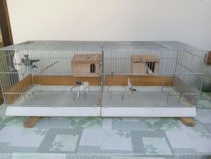 Vogelkäfige Bild 2