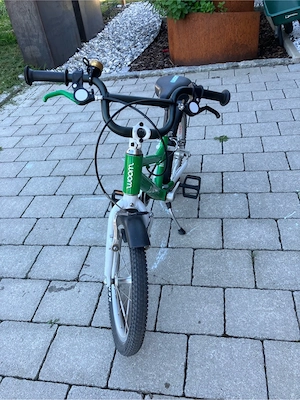 Woom 3 grün Bild 3
