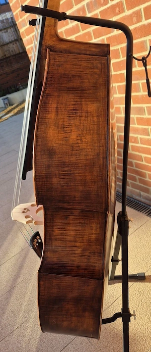 Stentor Arcadia Kontrabass mit Kofferabdeckung Bild 3