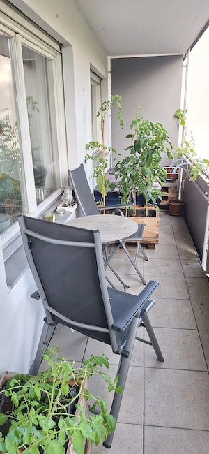 Zimmer in 3er WG in Dornbirn Bild 2