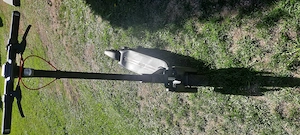 Segway Ninebot max g3 zu verkaufen. Bild 3