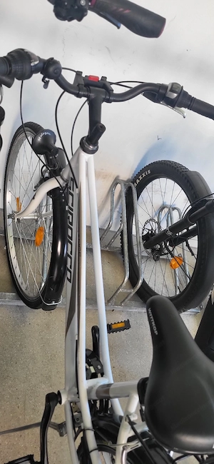 Damenfahrrad Bild 3