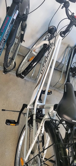 Damenfahrrad Bild 4