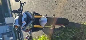 Triumph Street Triple 765 RX  Bild 6