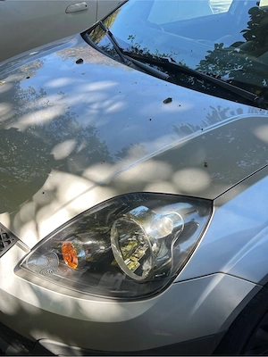 Ford Fiesta 2006  Bild 2