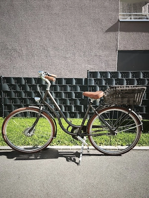  Raleigh Damenrad   Citybike 28 Zoll (7 Gänge, inkl. Korb)   Top Zustand!