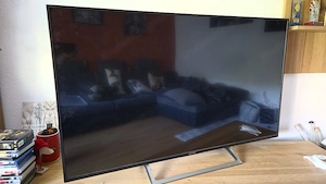 Sony 55 Zoll