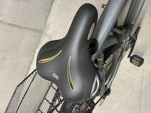 Neuwertiges Herren E Bike Bild 5