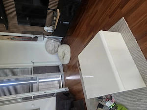 Couchtisch zu verschenken mit Gebrauchsspuren Bild 3
