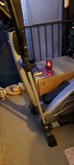 Heimtrainer