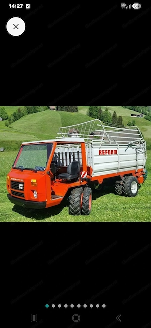 Reform Muli in sehr schönem Zustand Bild 3
