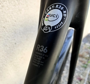 Canyon Endurance CF SLX Bild 2