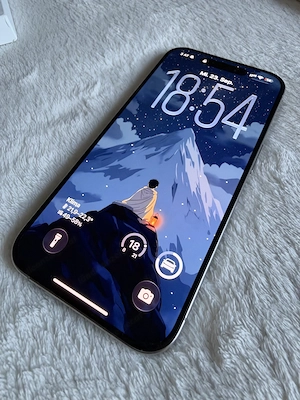 iPhone 15 Pro 128 GB 100% Akku, Top Zustand Bild 3