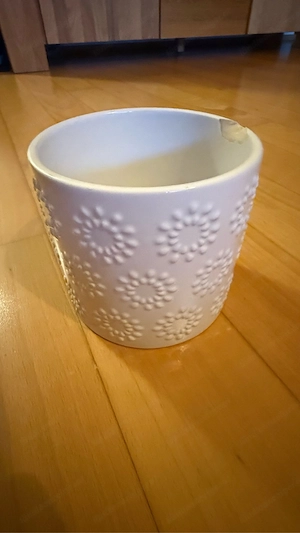 Vase und Blumentopf zu verschenken Bild 3