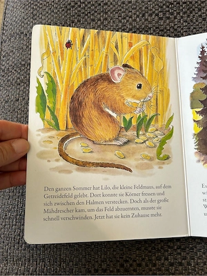 Pappbuch: Lilo und Max Bild 3