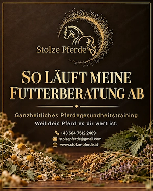 Futterberatung beim Pferd in Vorarlberg und Umgebung Bild 2