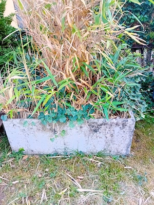 Betonblumentröge Bild 2