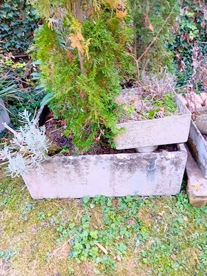 Betonblumentröge Bild 3