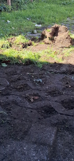 garten arbeit Bild 3