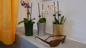 Sonnenbrille, Ray Ban Sunglasses RB 2130 Wrap Rituals Pande 938  Bild 6
