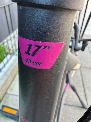 Mädchenfahrrad 17 Zoll 