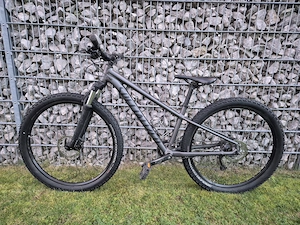 Specialized Mountainbike Bild 3