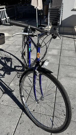 Trekkingrad 28" Verada Velvet - frisch bereift, neuer Dynamo Bild 3