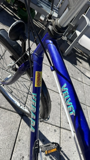 Trekkingrad 28" Verada Velvet - frisch bereift, neuer Dynamo Bild 2