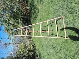 Holz Leiter für Deko Zwecke Bild 3
