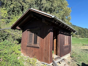 Bienenhaus zu verschenken Bild 3