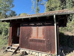 Bienenhaus zu verschenken Bild 2