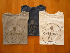 26 verschiedene T-Shirts - T-Shirts - T-Shirts - T-Shirts  * Neuwertig * Bild 3