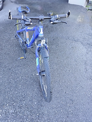 Raleigh Univega Jugend Mountainbike 24" Bild 5