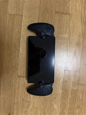 PS 5 Remote Play Bild 2