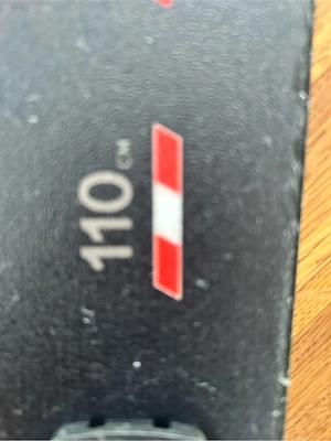 Fischer Ski 110 Bild 2