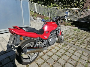 Kawasaki ER-5 Bild 5