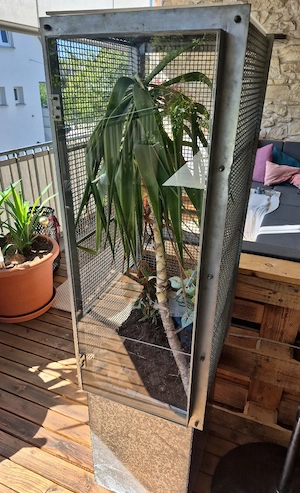 Terrarium Käfig Gehege Bild 5