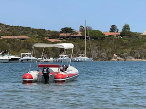 Schlauchboot mit Motor 20Ps und Bodenseezulasdung Bild 2