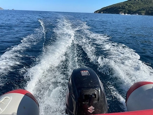 Schlauchboot mit Motor 20Ps und Bodenseezulasdung Bild 4