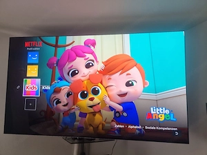 Fernseher G2 EVO 65 zoll