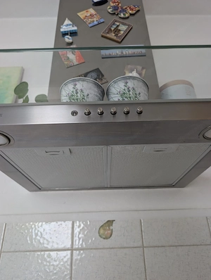 Dunstabzug der Marke Electra Bregenz zu verkaufen Bild 4