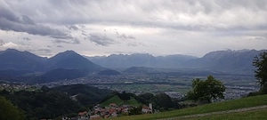 Garten  Haushaltshilfe von jungem Mann