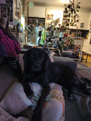 Pepsi - NOTFALL Österreich Bild 4