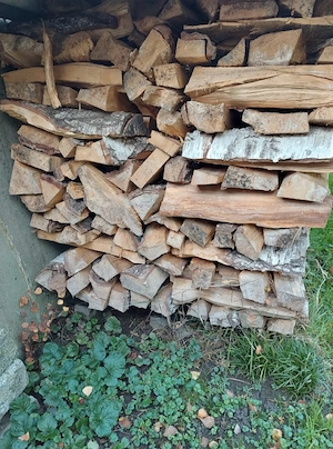Birkenholz Kaminholz Bild 2