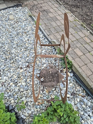 Rost Apfel Bild 2