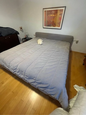 Doppelbett, hellgrauer Cordbezug, gratis Bild 3
