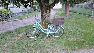 Excelsior Retro Mädchen Fahrrad