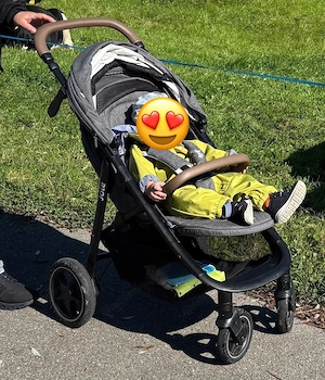 Joie Mytrax Pro Kinderwagen   Buggy Bild 3