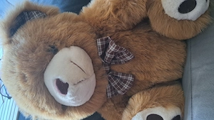 Teddybären Familie  Bild 4