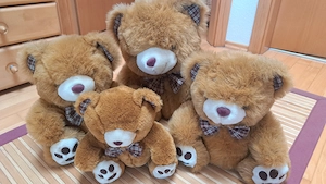 Teddybären Familie  Bild 3